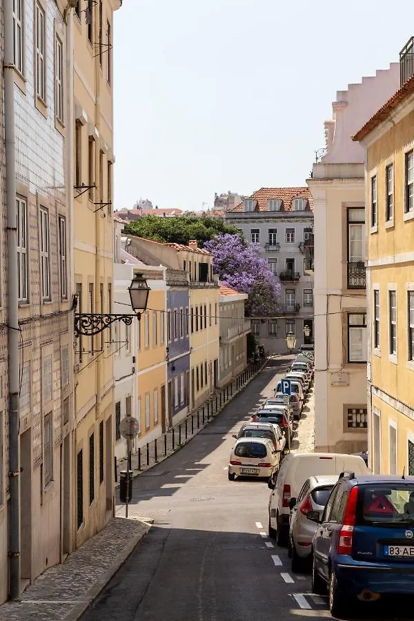 Апартаменты Principe Real, Hidden Terrace, Lisbon Views By Courtesy Morning 0*,
